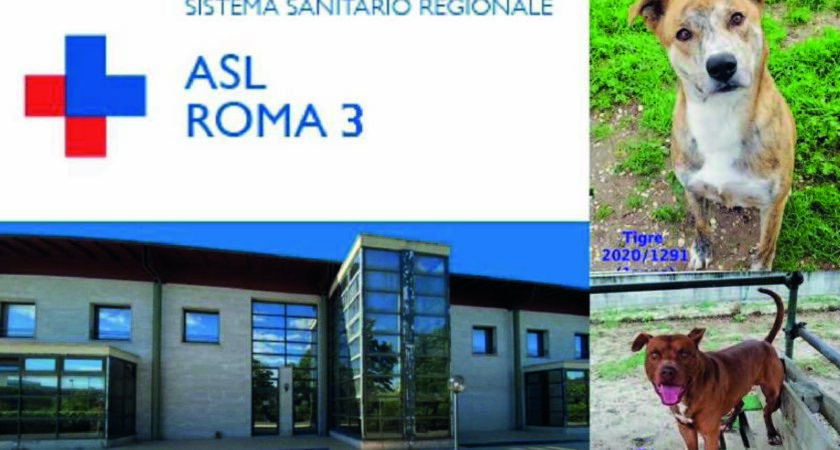Canile Sovrazonale ASL ROMA 3