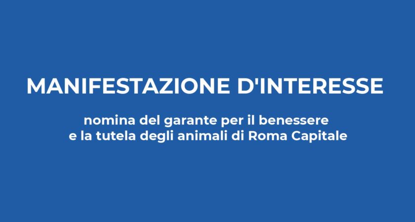 Avviso pubblico per manifestazione d’interesse alla nomina del garante per il benessere e la tutela degli animali di Roma Capitale