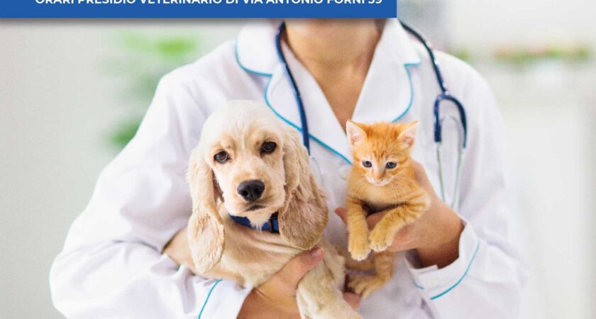 Orari Presidio Veterinario di Via Antonio Forni 39