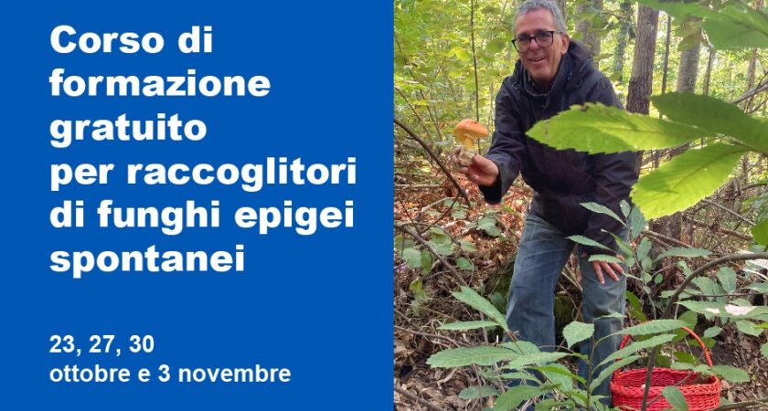 Corso di formazione gratuito per raccoglitori di funghi epigei spontanei: 23, 27, 30 ottobre e 3 novembre