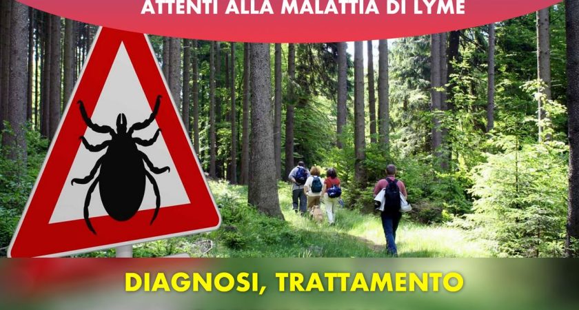 Trekkers attenti alla malattia di Lyme: DIAGOSI, TRATTAMENTO E PREVENZIONE