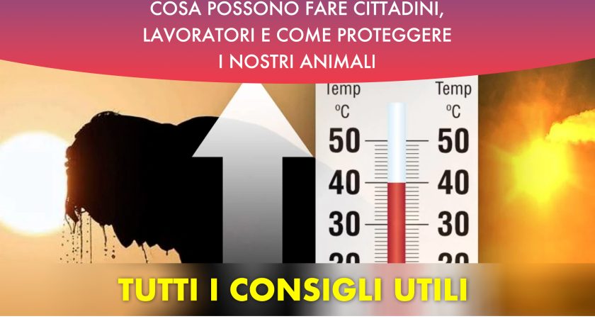 Ondate di calore: cosa possono fare cittadini, lavoratori e come proteggere i nostri animali