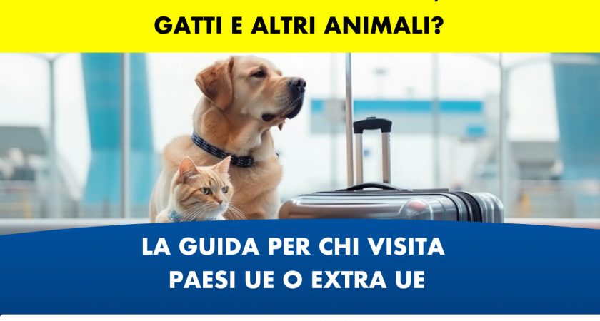 IN VIAGGIO CON CANI, GATTI E ALTRI ANIMALI?