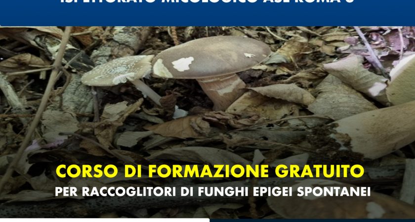 ISPETTORATO MICOLOGICO ASL ROMA 3 –  CORSO DI FORMAZIONE GRATUITO PER RACCOGLITORI DI FUNGHI EPIGEI SPONTANEI