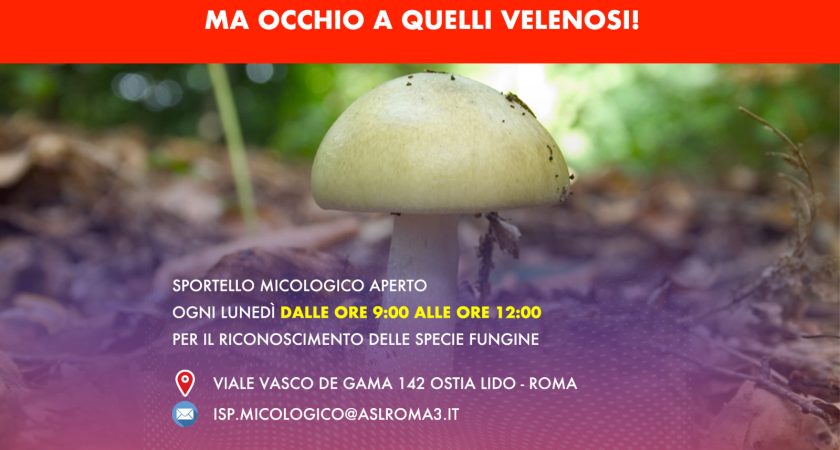 ASL ROMA 3: SPORTELLO MICOLOGICO GRATUITO PER SAPERE SE FUNGO È TOSSICO O COMMESTIBILE