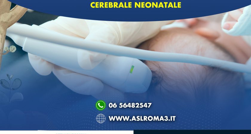 APRE A MARZO AL GRASSI L’AMBULATORIO DI ECOGRAFIA CEREBRALE NEONATALE