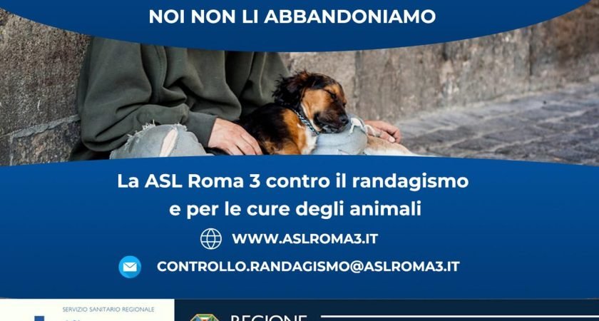 Homeless, il progetto per garantire le cure degli animali a chi non può permettersele