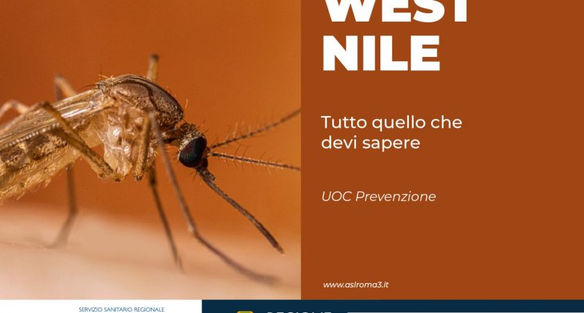 West Nile: Ecco tutto quello che devi sapere