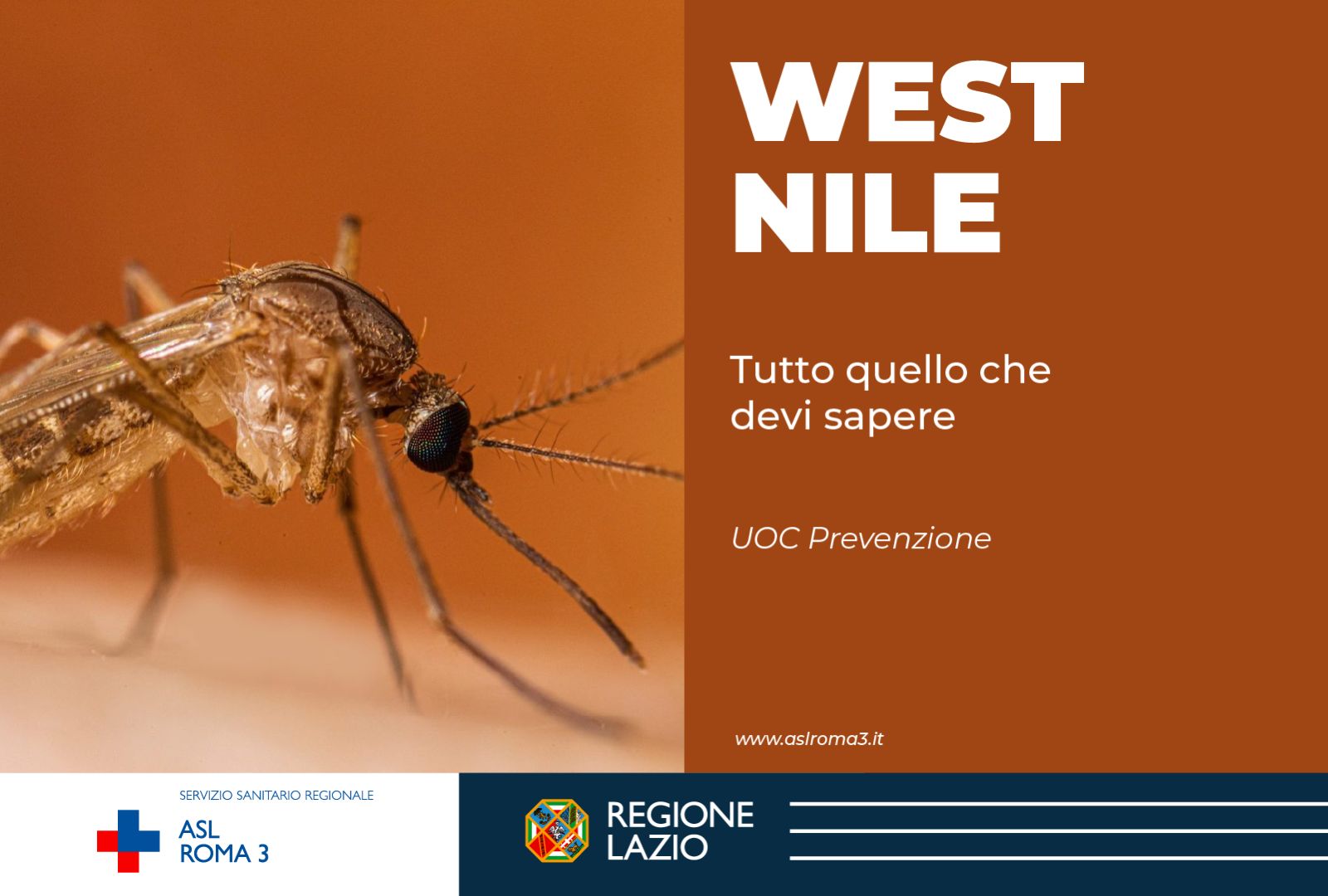 West Nile: Ecco tutto quello che devi sapere