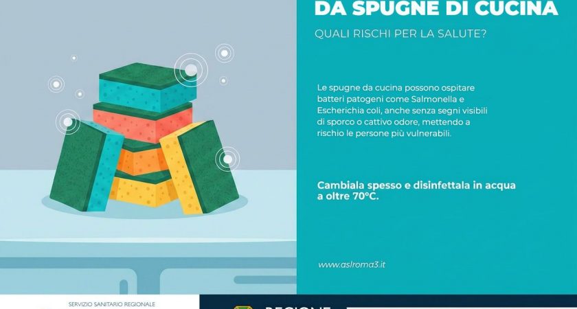 Prevenzione; Attenzione al microcosmo di una spugna da cucina