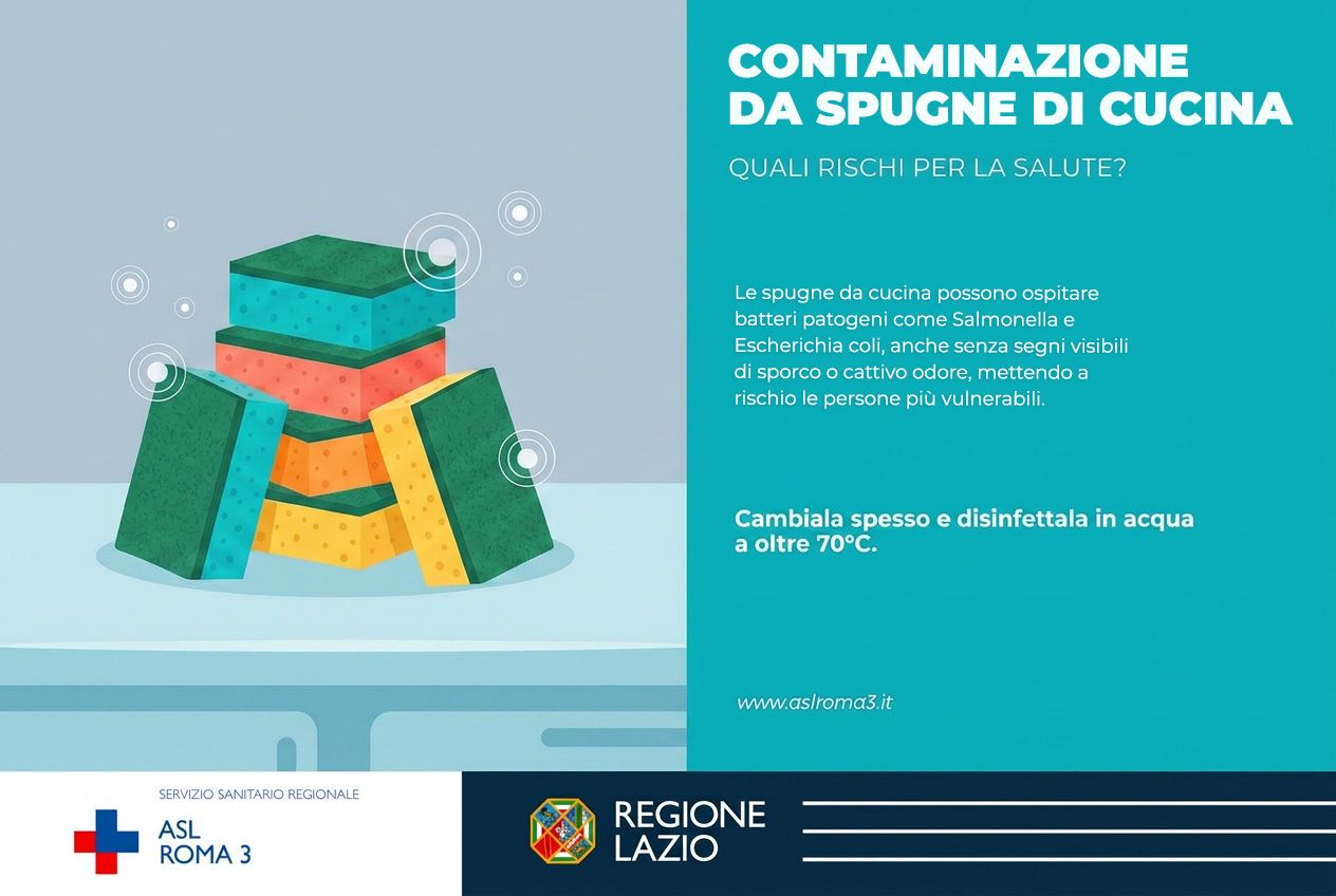 Prevenzione; Attenzione al microcosmo di una spugna da cucina