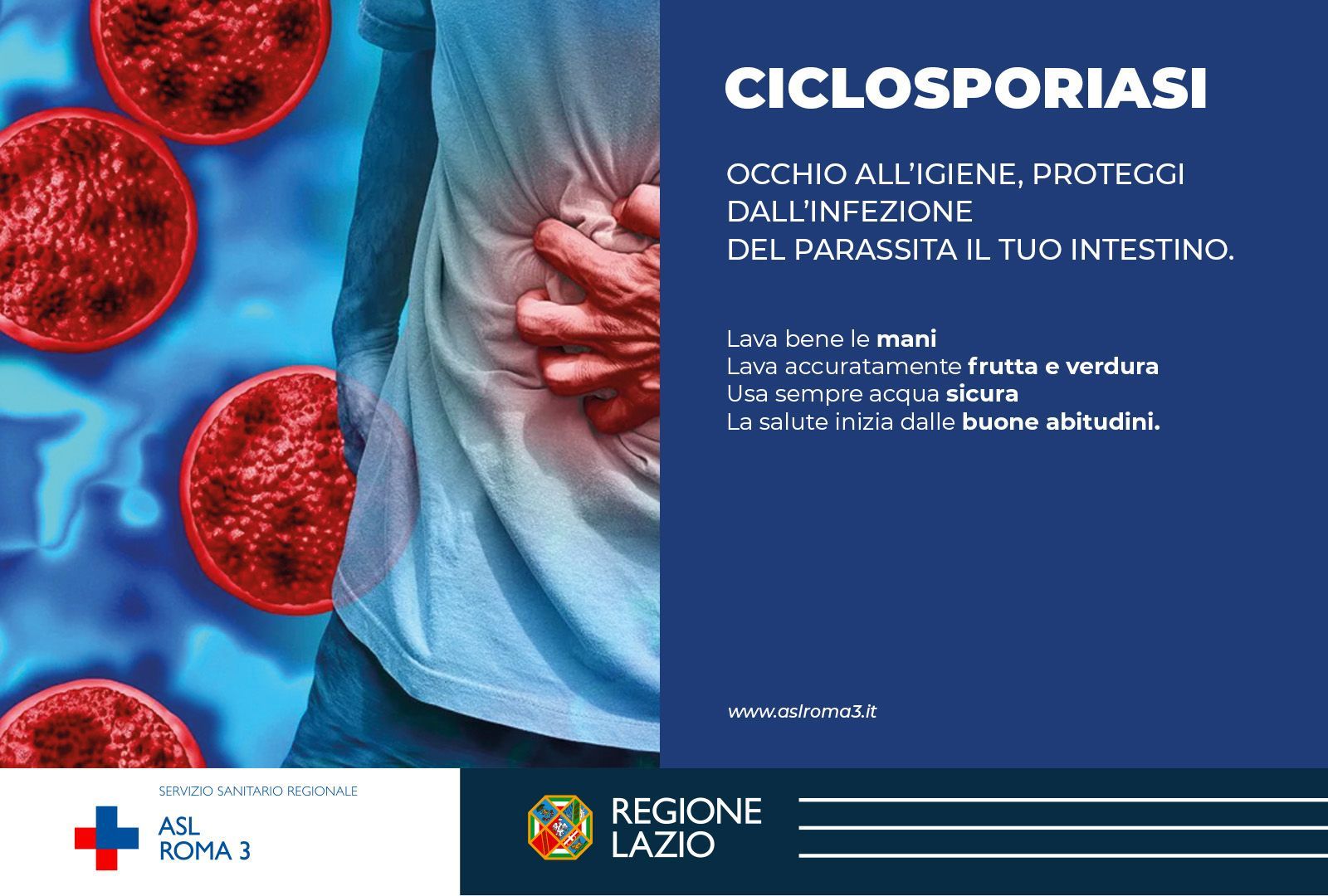 La Cyclospora e la contaminazione della lattuga iceberg negli Stati Uniti